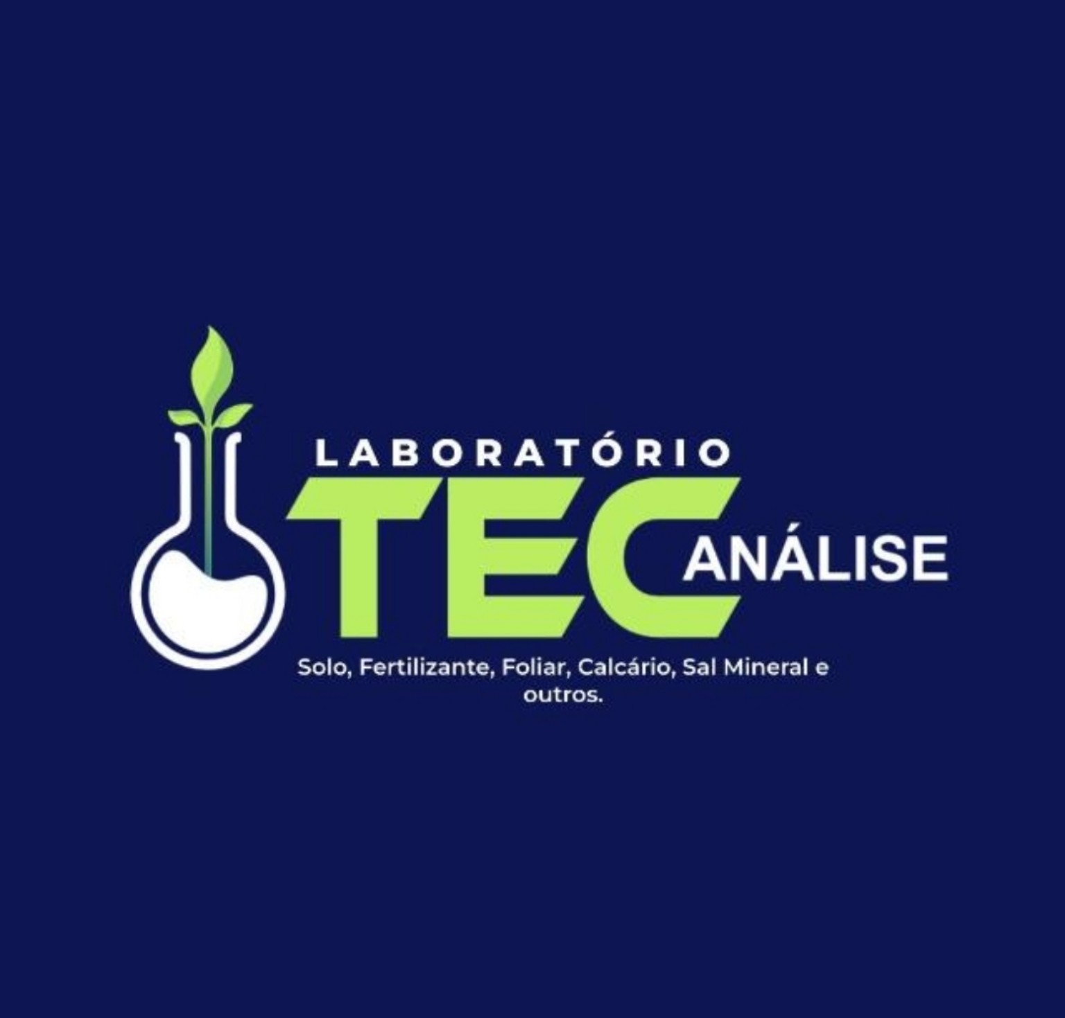 TEC Análise